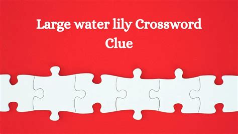 crossword clue water lily|water lily 5 letters.